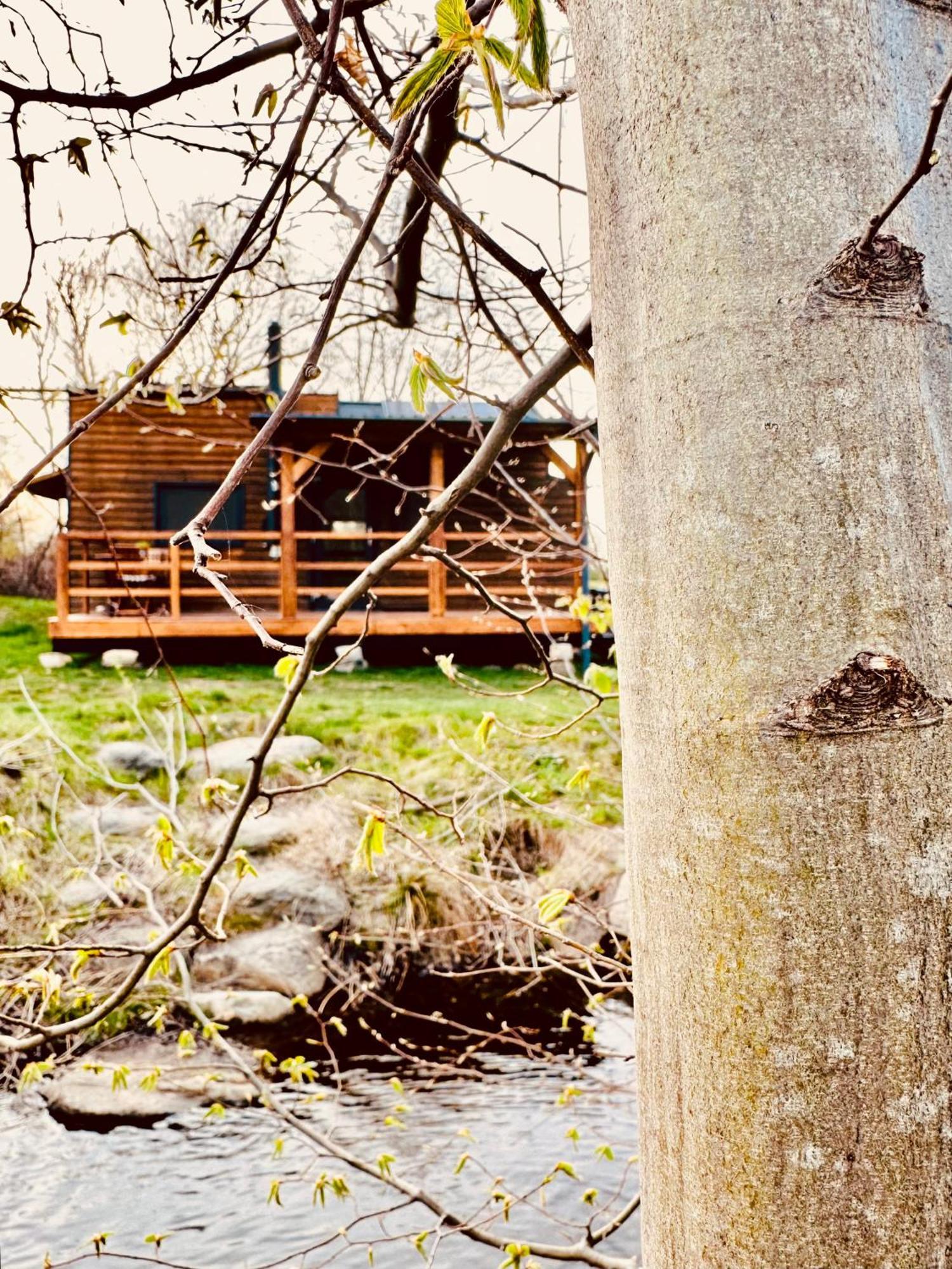 Tiny Home Dejani Extérieur photo