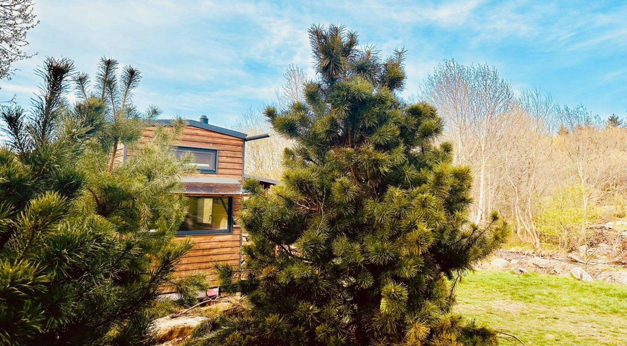 Tiny Home Dejani Extérieur photo